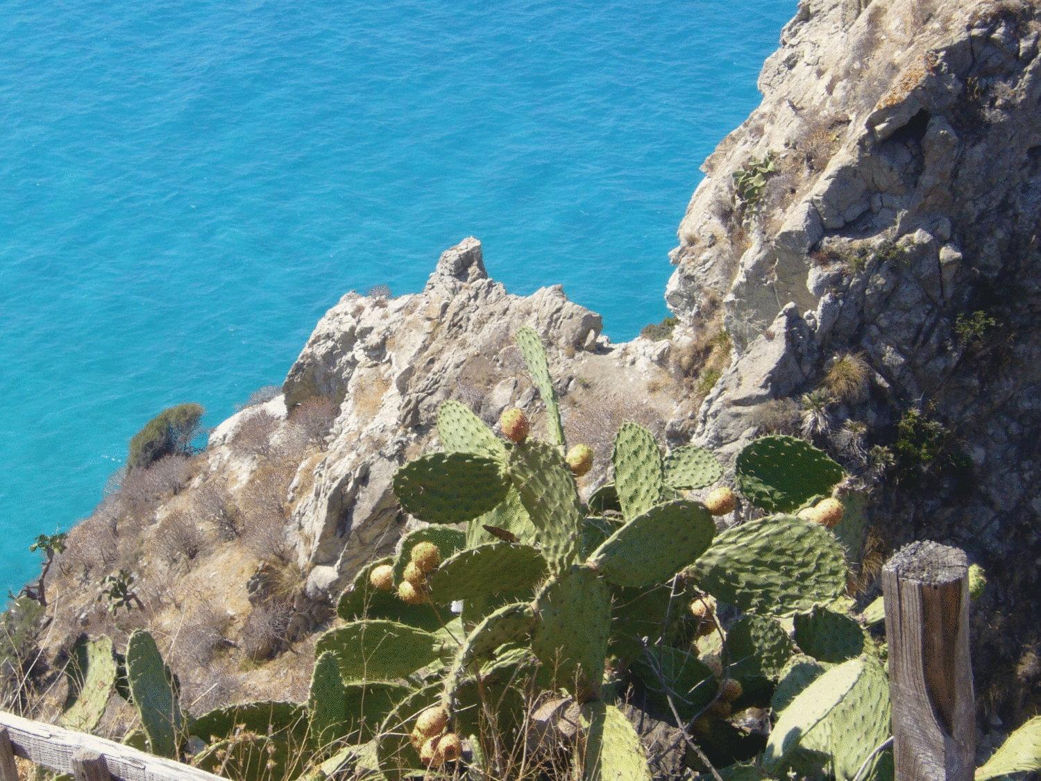 Hotel Virgilio Tropea Exterior photo